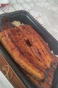 うなぎ屋おのぎ 札幌本店