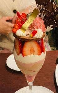 カカオティエゴカン 高麗橋本店