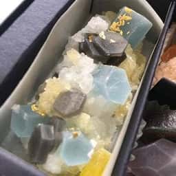 harapecolab