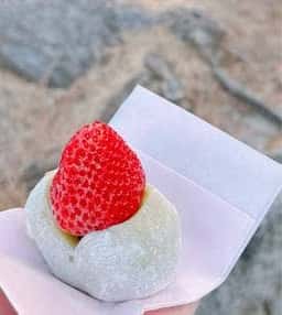 伏見稲荷 そらつき