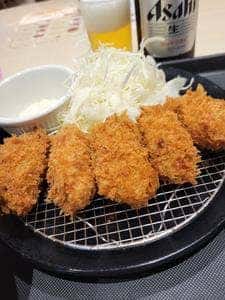 松のや / マイカリー食堂 橋本店