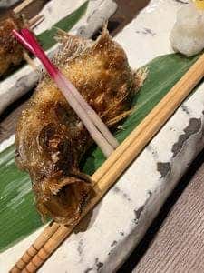 二代目 圭
