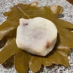 つくし
