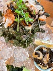 第二力酒蔵