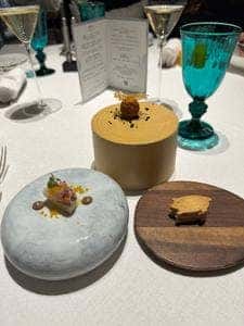 ozioサンクチュアリコート高山