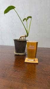BREW CLASSIC