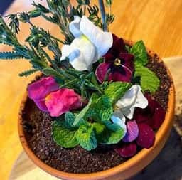 ザファームカフェ