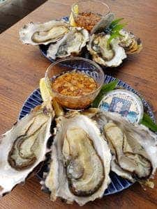 的矢かきテラス