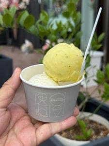 Eriko Osawa Earthly Gelato