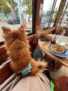 レインボーカフェ 枚方店