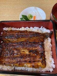 うな菊