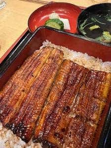 うなぎみや川 高津