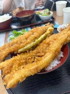 かもめ食堂