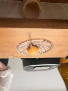 串かつ これ
