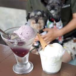 ミニ尾瀬公園 インフォメーションセンターカフェ