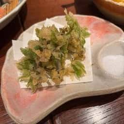 酒の魚 和海