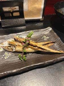 北新地 とき