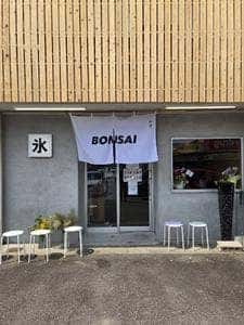 BONSAI