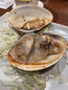 助格 道後店