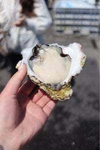 ヤマサ水産 お魚センター店