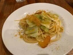 Ginkgo