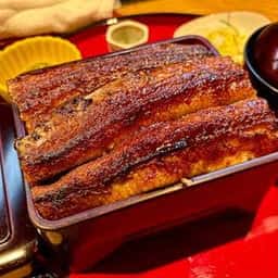 炭焼うな富士 有楽町店 むかい