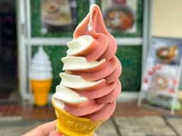 谷田部東パーキングエリア 下り線 売店