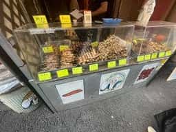 一輝