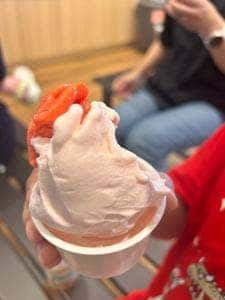 マルガージェラート 道の駅 のと千里浜