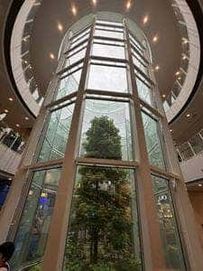 口福堂 ららぽーと立川立飛店