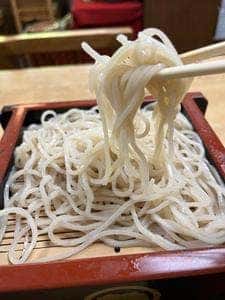 津久茂