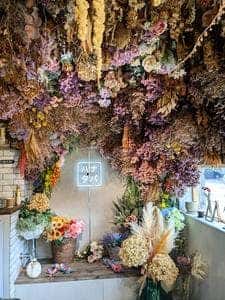 農家の息子がつくるジェラートのお店 HANATABA