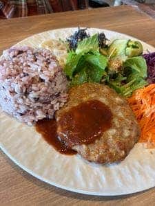 メディバル × タニタカフェ 東府中