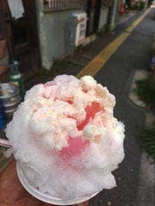 毒島氷室