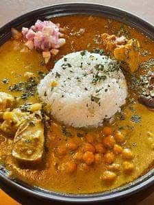 O-SPICE