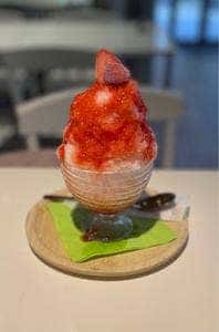 自由が丘プラス 南口店
