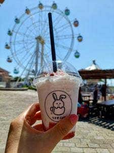 うさぎcafe