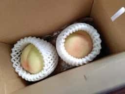 西の屋美作店