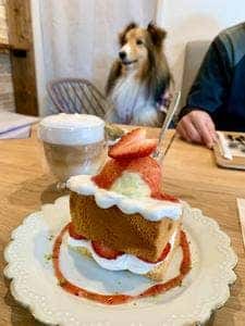 hana cafe