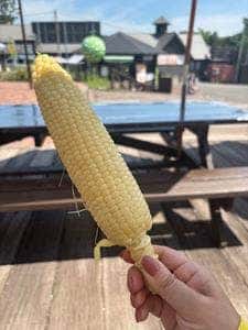 とみたメロンハウス