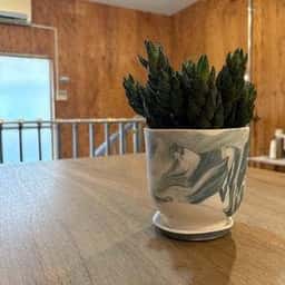 First Crop Coffee Japan Roastery