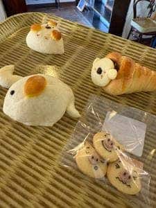 トイパン