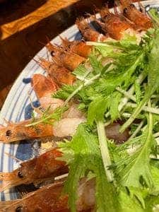 桜花 堀蔵
