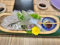 三笠