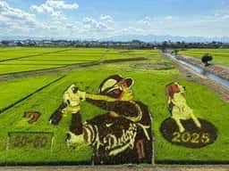 レストラン 竹林 薬師堂温泉