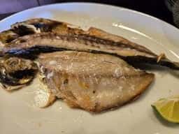 シウン カフェ