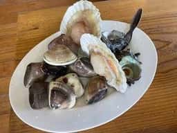 浜茶屋網元