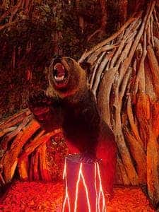 BEAR GARDEN 琴似店