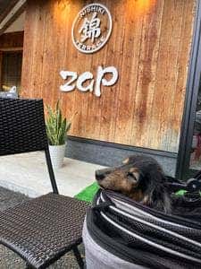 錦TERRACE zap
