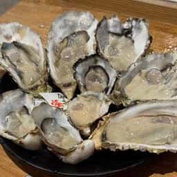 魚豪商 コダマ